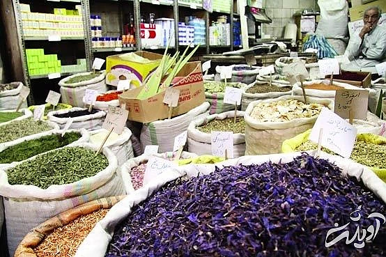 چرا سردرد می گیریم؟/ مبتلایان به میگرن بخوانند/ نسخه طب سنتی برای درمان سردردهای میگرنی